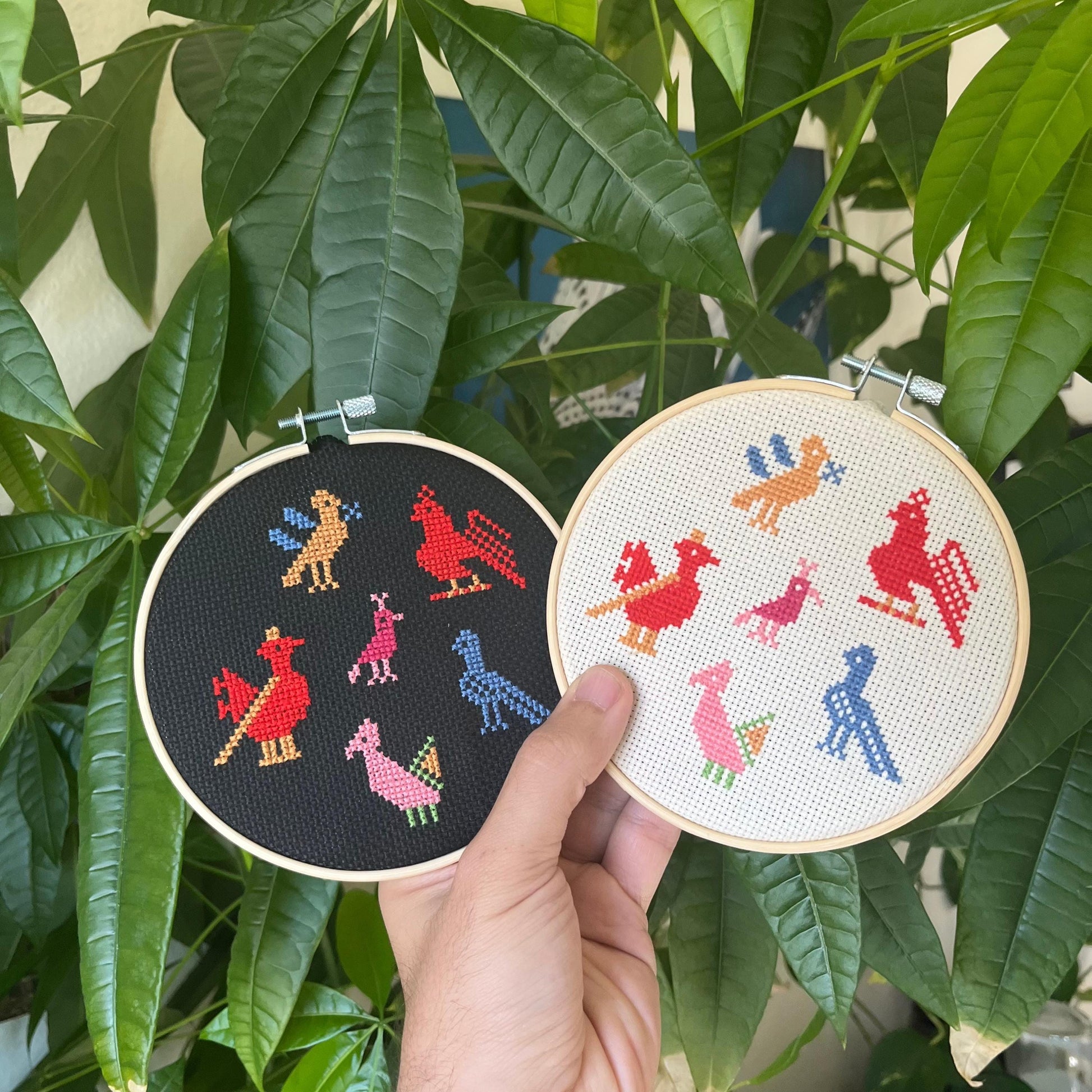 Tatreez kit with birds of Ramallah design. black and white aida cloths, embroidery hoops, view from the front