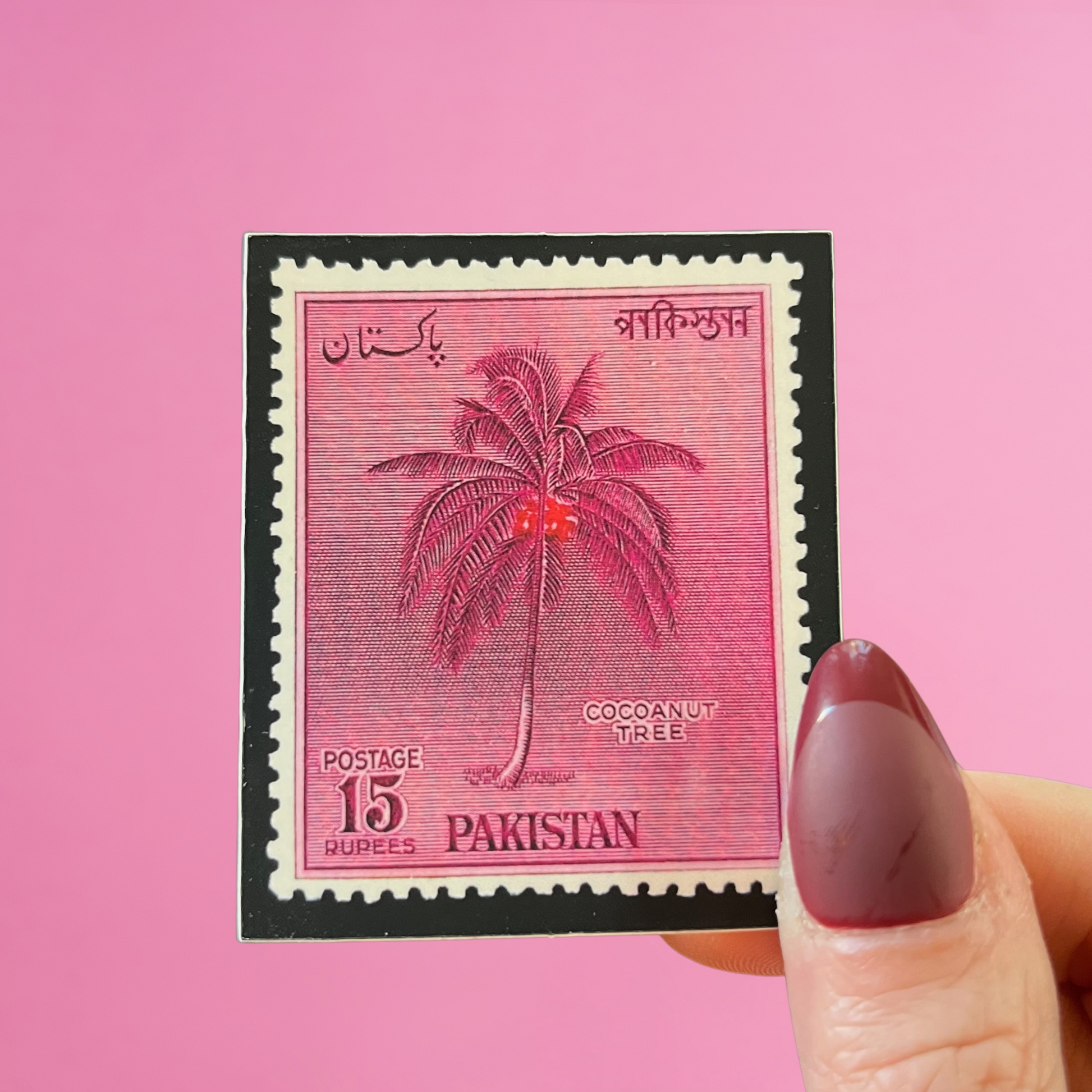 fingers holding a Pakistan stamp sticker with an image of a coconut tree, along with the word Pakistan in Arabic, Devanagari, and English. front view, against a pink background