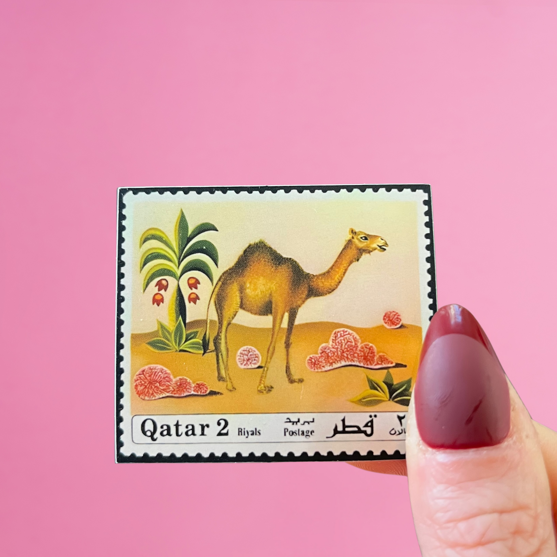 Front view of fingers holding a Qatar stamp with an image of a camel with desert plants. Against a pink background