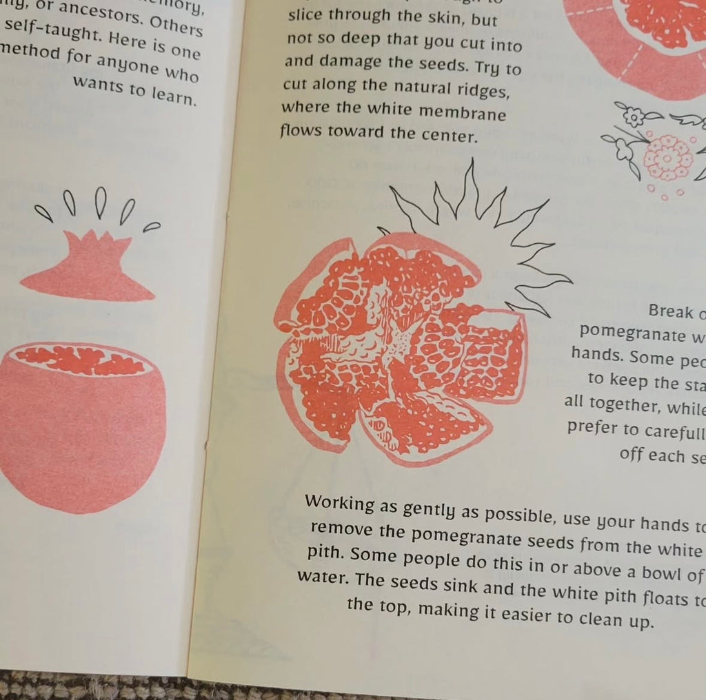 Seed By Seed Zine